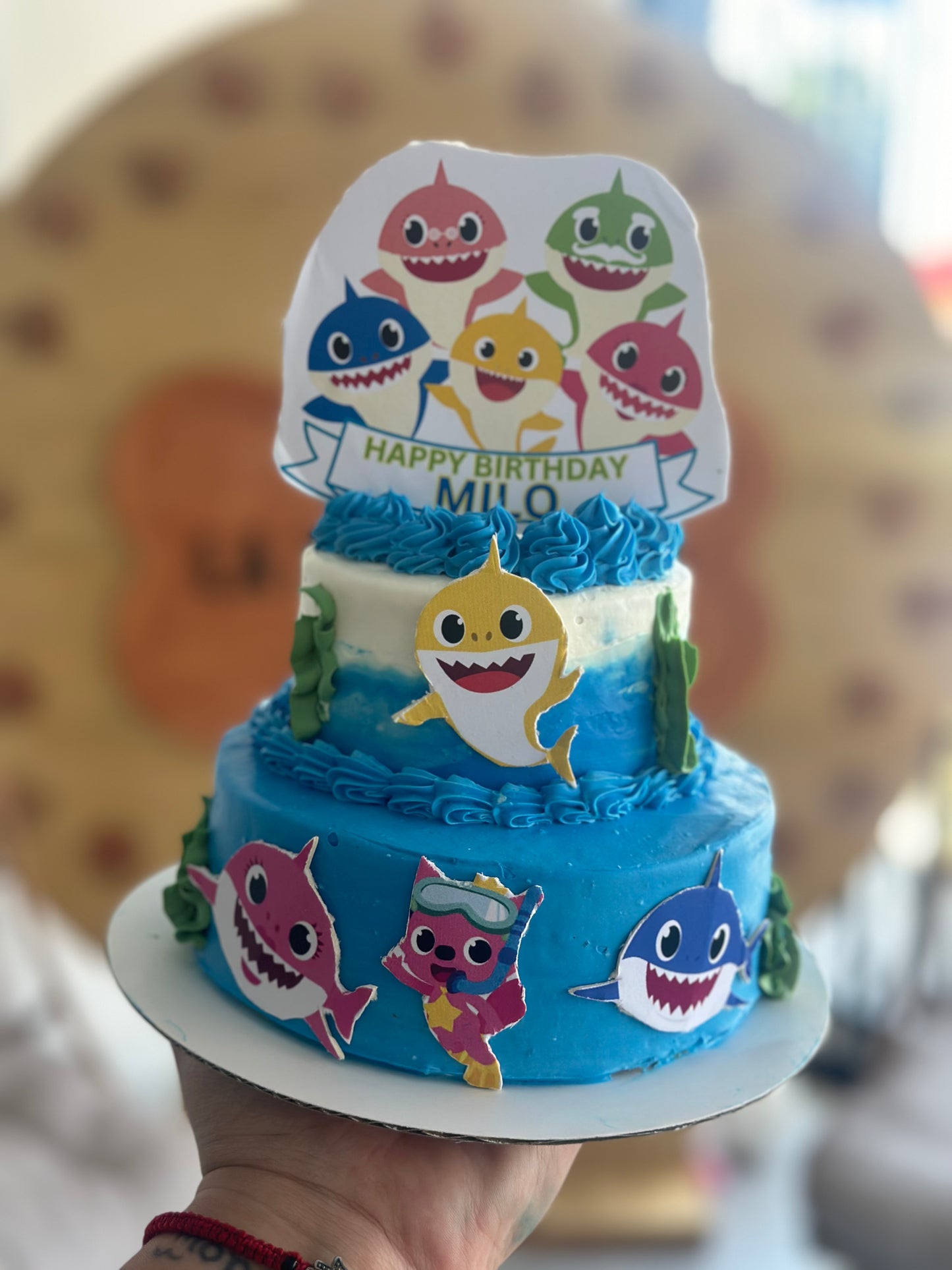 2 Tier Custom Cake