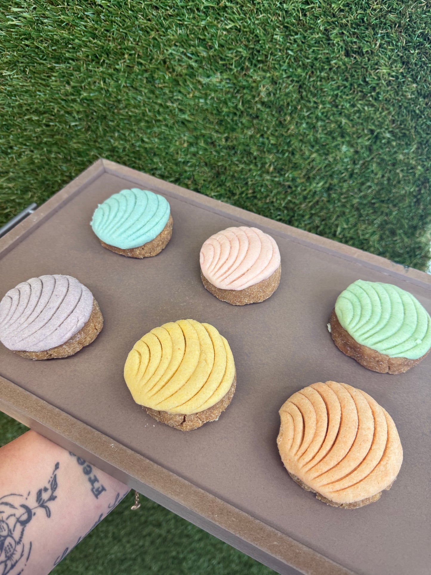 Pascua Conchas