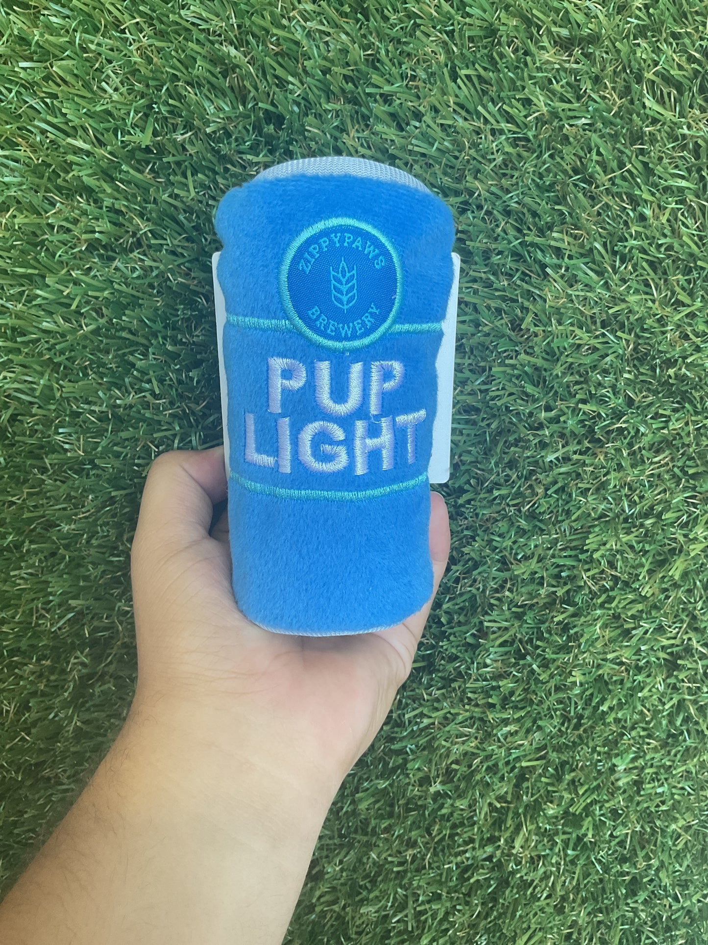 Pup Light Toy