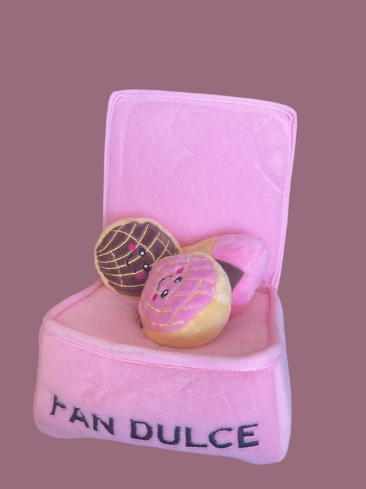 Pan dulce box