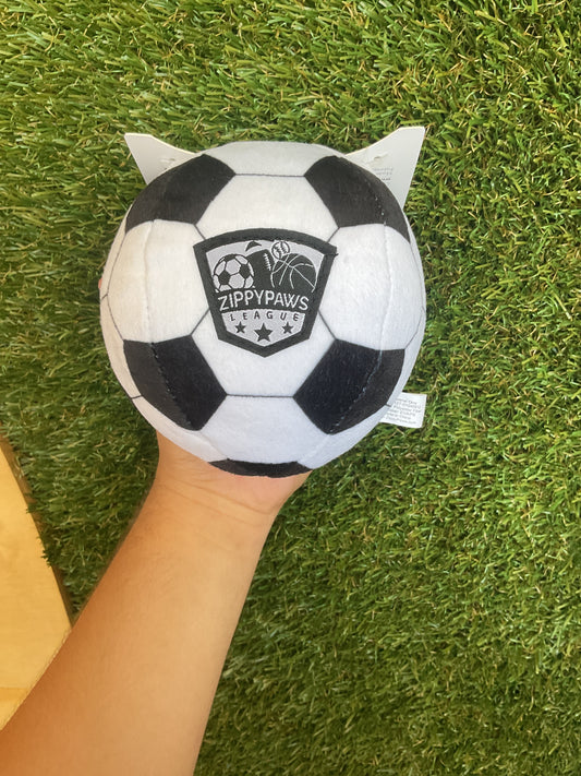 Soccer Ball Toy