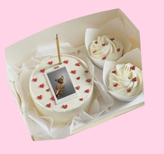 Cake Box (local pick up only)