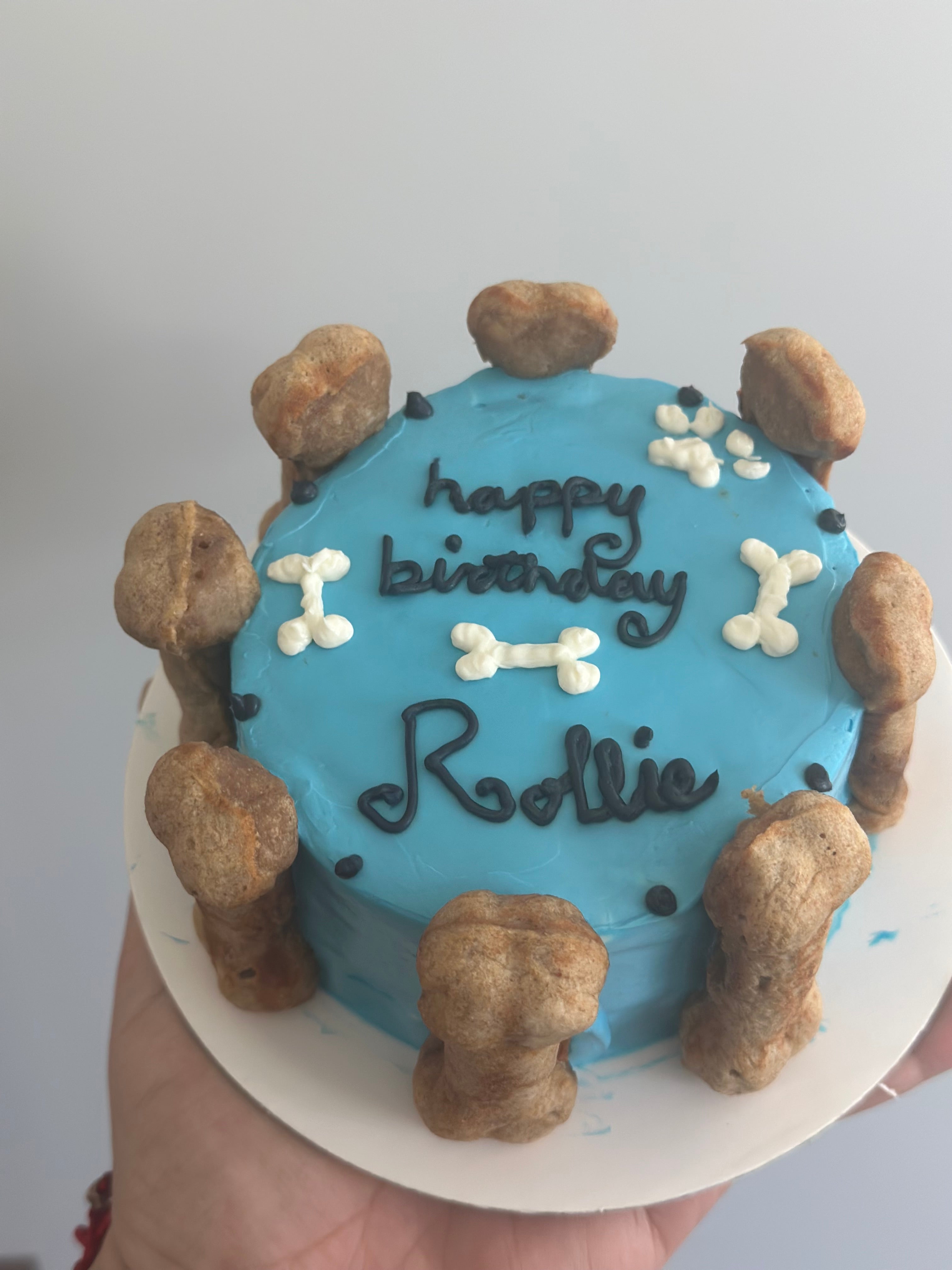 Dog and the Bone Theme Cake – Cakes All The Way