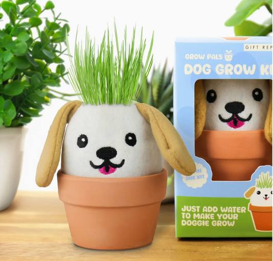 Dog Desk Plant