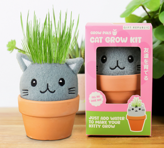 Cat Desk Plant